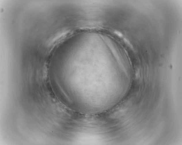 X0000088861350200706221715