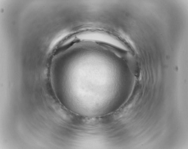 X0000088861352200706221715