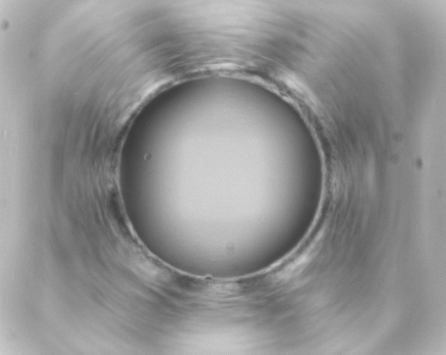 X0000088861353200706221715
