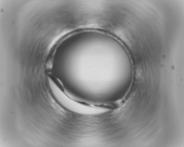 X0000088861356200706221715