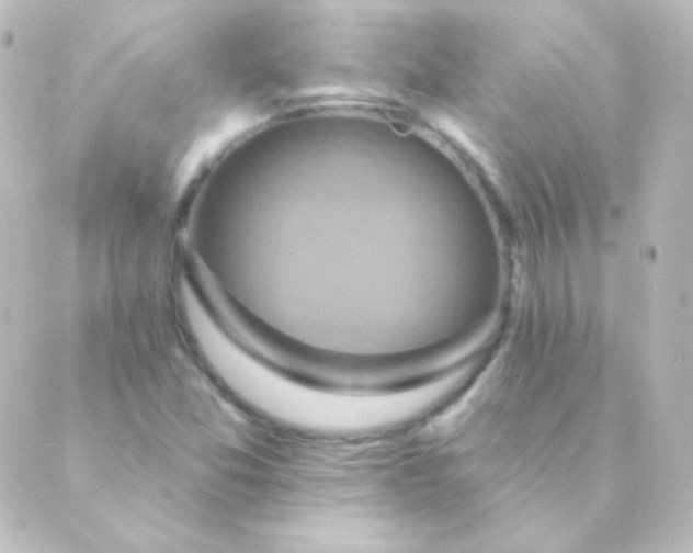 X0000088861357200706221714
