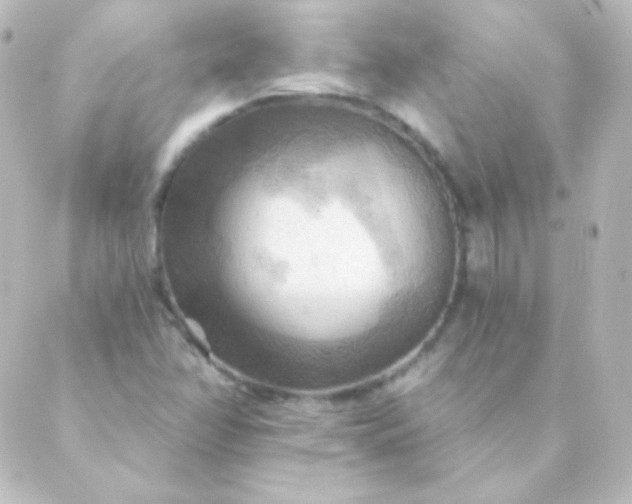 X0000088861358200706221714