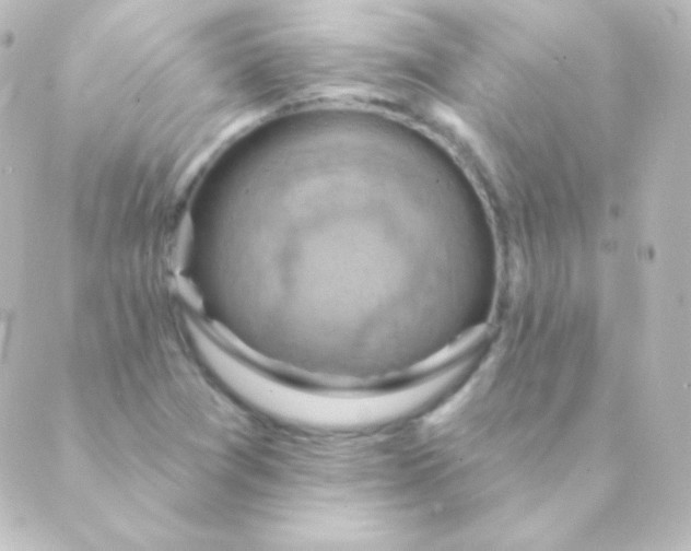 X0000088861361200706221714