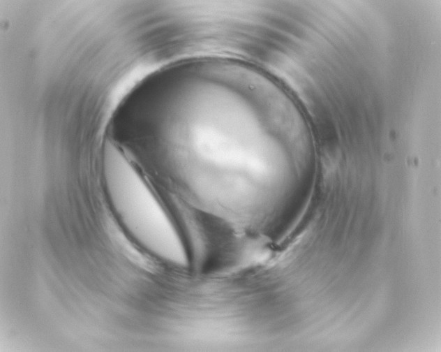 X0000088861371200706221714