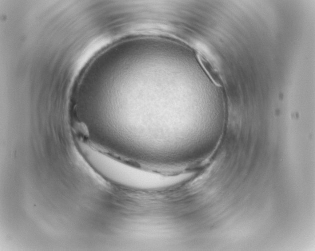 X0000088861384200706221714