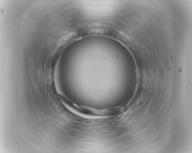 X0000088861394200706221713