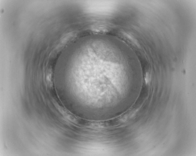 X0000088861396200706221713