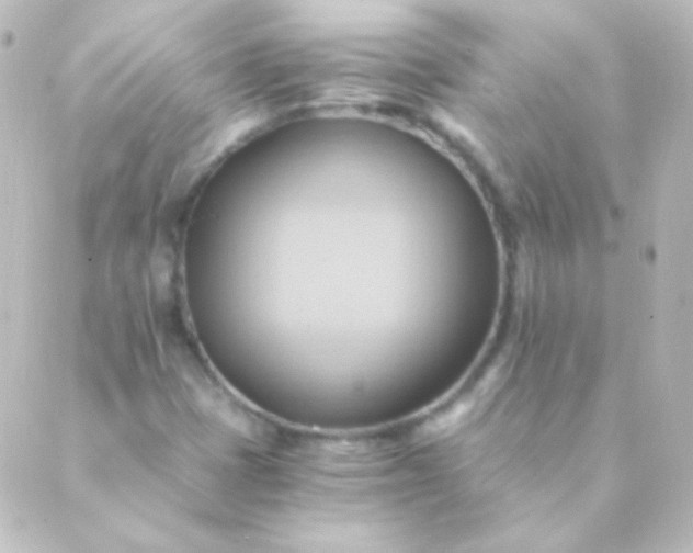X0000088861401200706221713