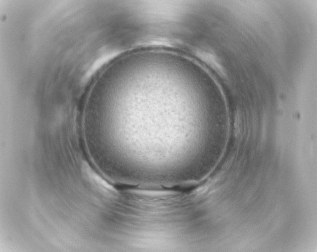 X0000088861404200706221713