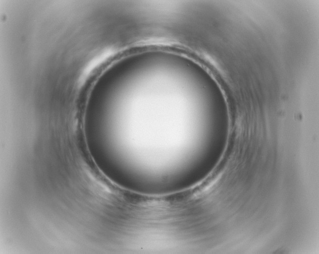 X0000088861406200706221713