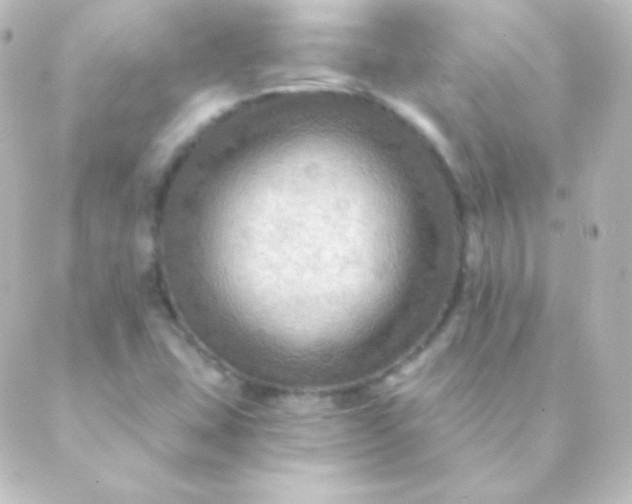 X0000088861407200706221713