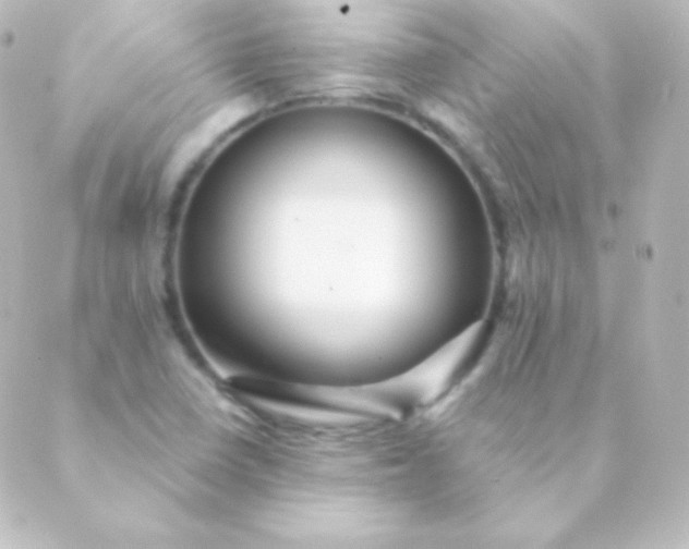 X0000088861410200706221713