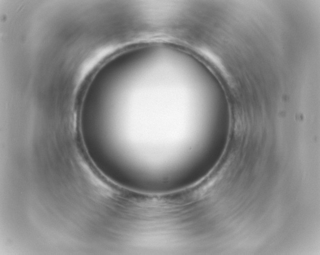 X0000088861414200706221713