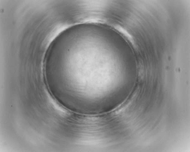 X0000088861423200706221714