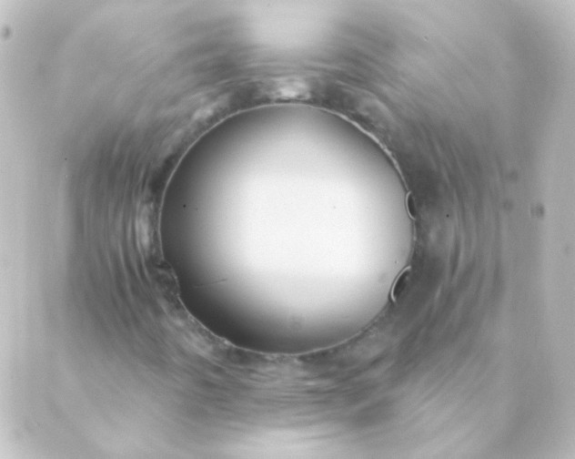 X0000088861442200706221713