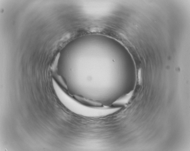 X0000088861443200706221713