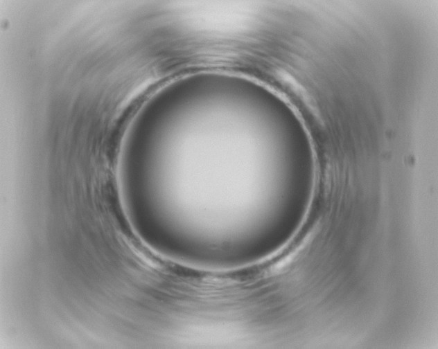 X0000088861449200706221713