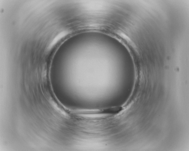 X0000088861450200706221713