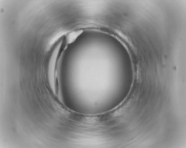 X0000088861453200706221713