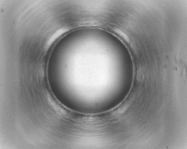 X0000088861458200706221713
