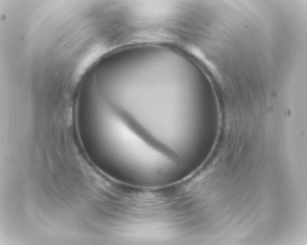 X0000088861459200706221713