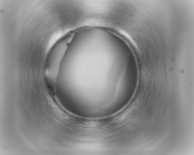 X0000088861461200706221713