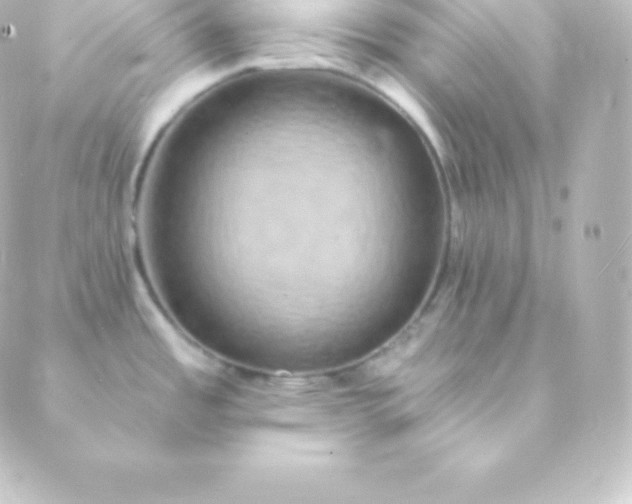 X0000088861485200706221712
