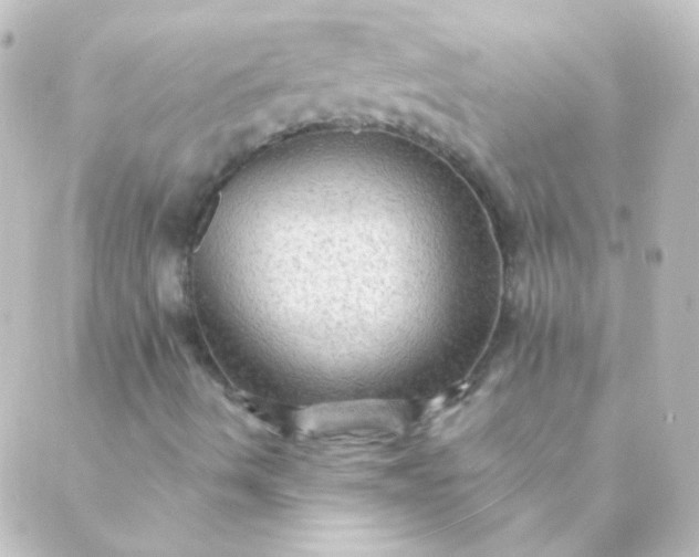 X0000088861490200706221712