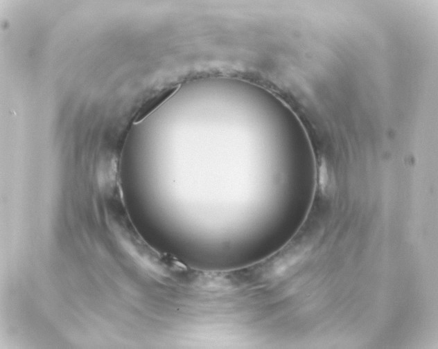 X0000088861492200706221712