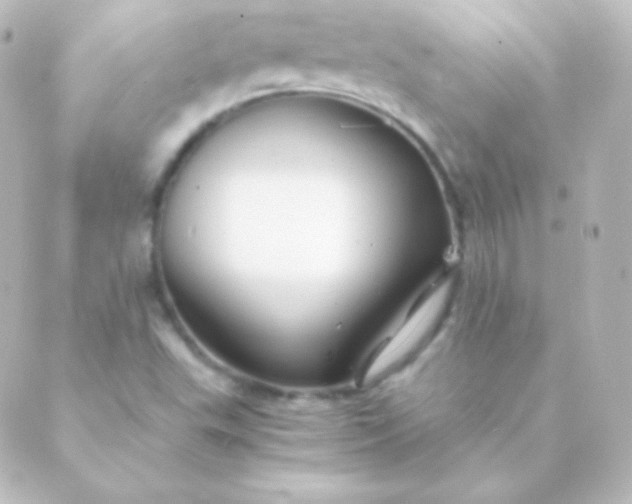 X0000088861503200706221712