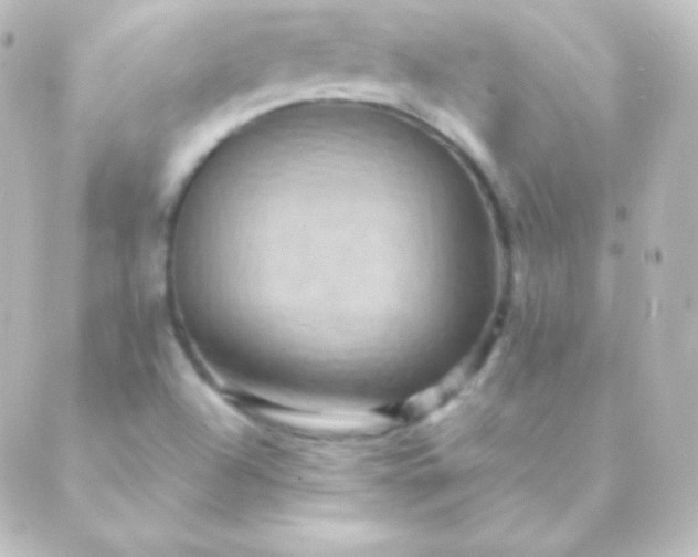 X0000088861504200706221712
