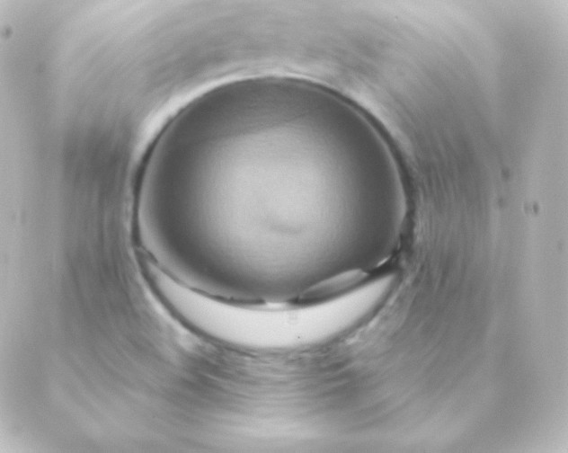 X0000088861508200706221712