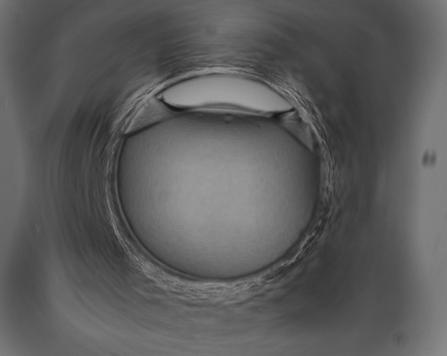 X0000088860001200706291528