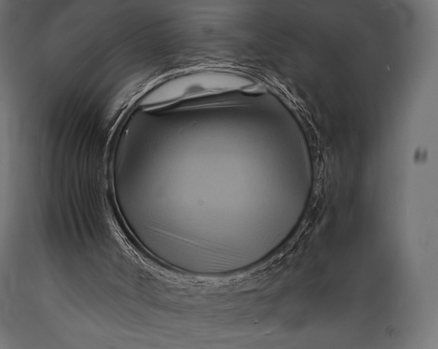 X0000088860002200706291528