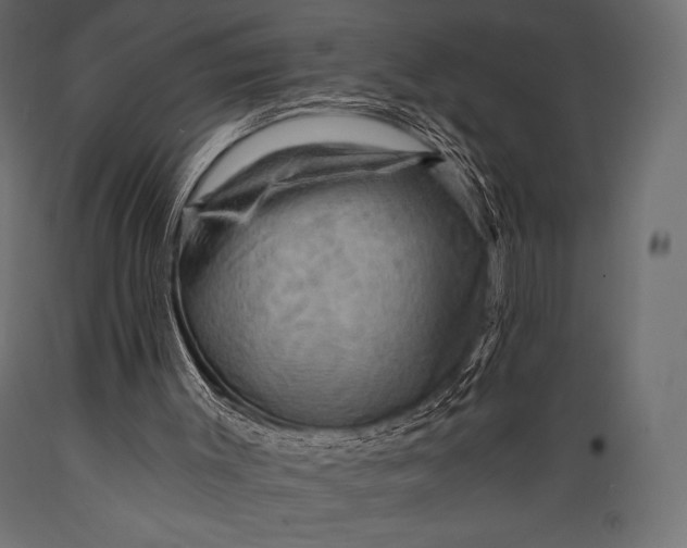 X0000088860003200706291528