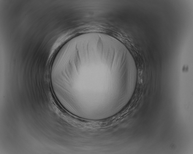 X0000088860004200706291528