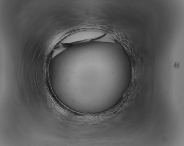 X0000088860005200706291528