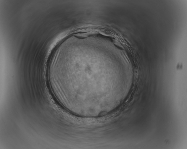 X0000088860006200706291528