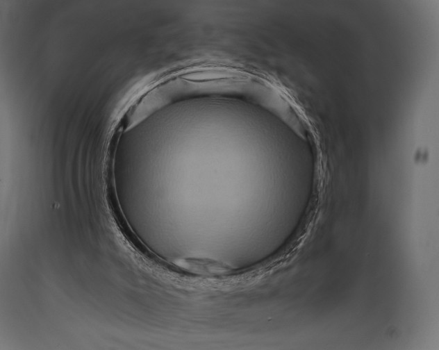 X0000088860007200706291528