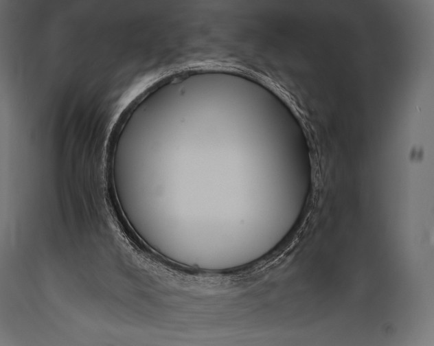 X0000088860008200706291528