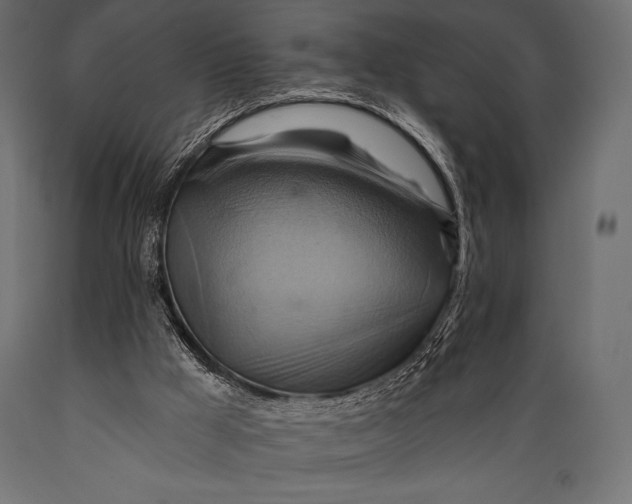 X0000088860009200706291528