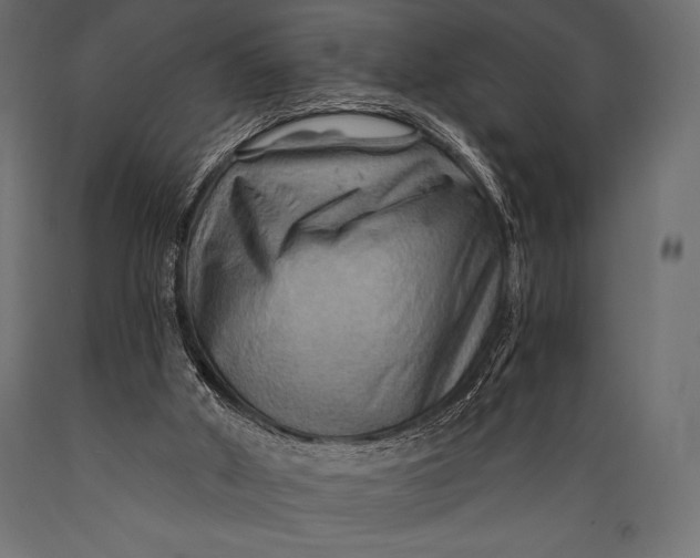 X0000088860010200706291528