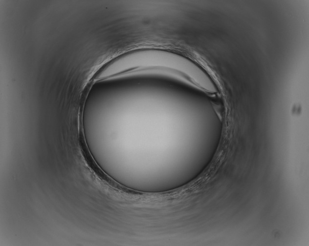 X0000088860011200706291528