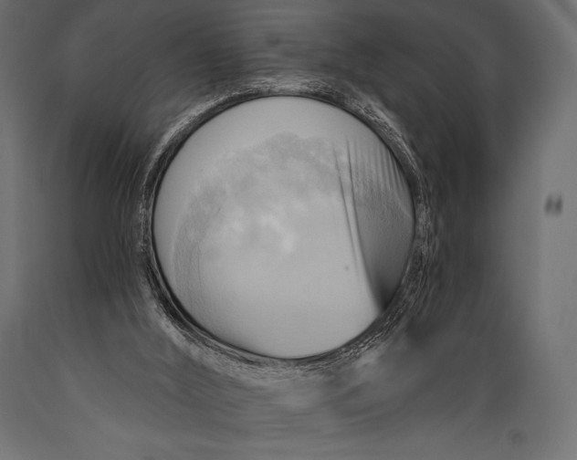 X0000088860012200706291528