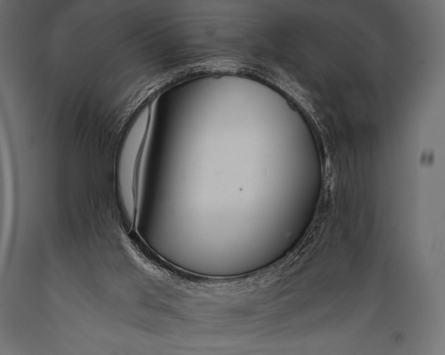 X0000088860013200706291528