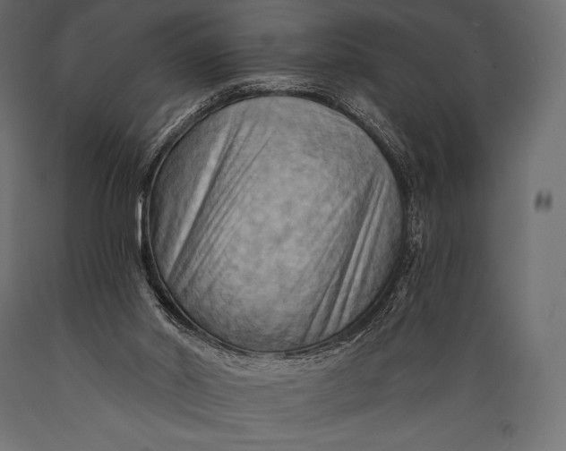 X0000088860014200706291528