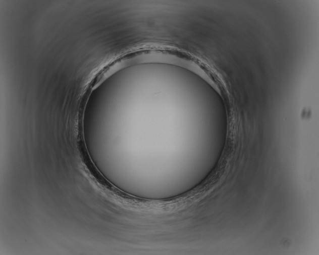 X0000088860015200706291528