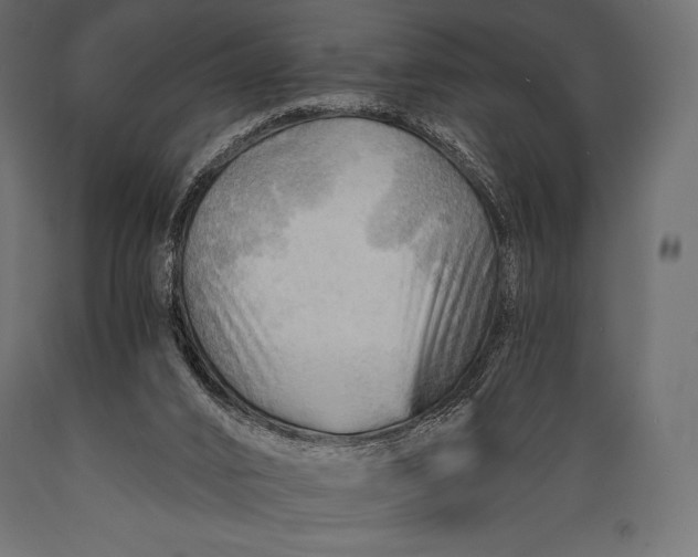 X0000088860016200706291528