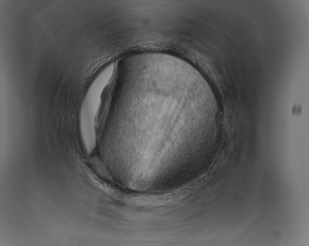 X0000088860017200706291528