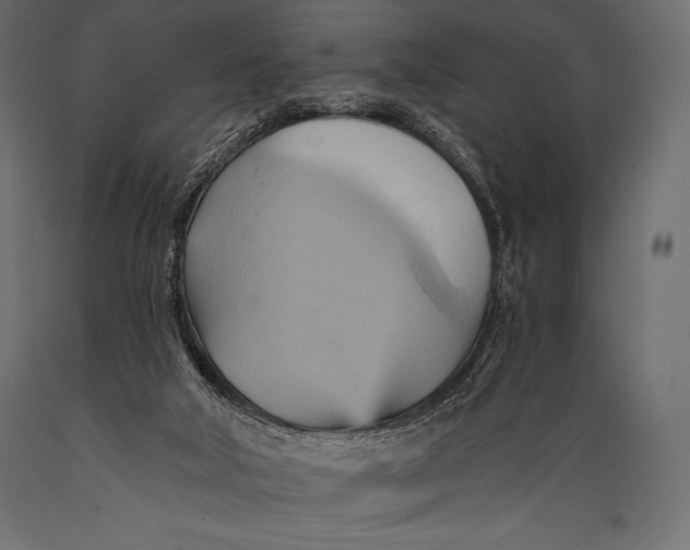 X0000088860018200706291528